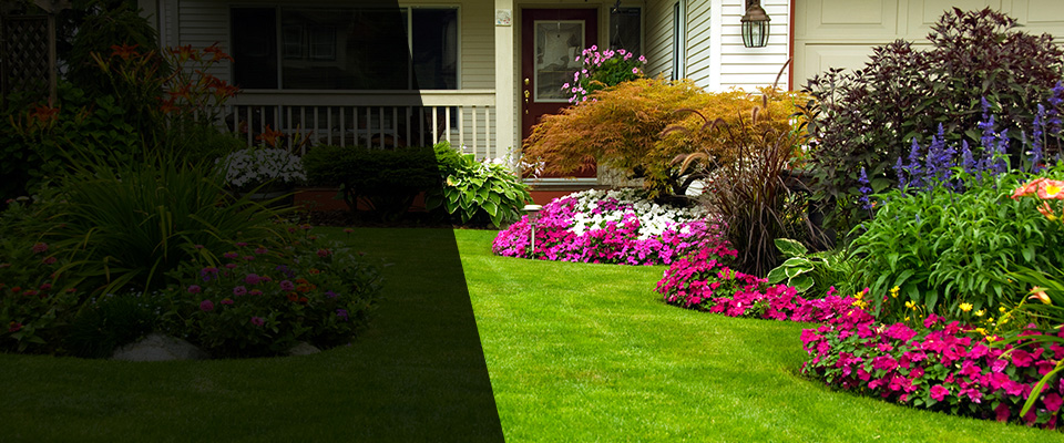 Knoxville Landscapers